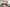 DEV001785_Huntingtower_Fenton_BFOE_04.10.24_009