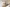 Haversham CGI