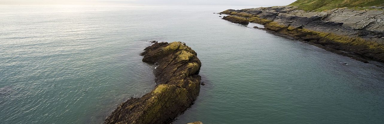 New Build Homes for Sale in Bishopton | Barratt Homes