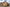 Alderney Burdon Green 2022 Photography 