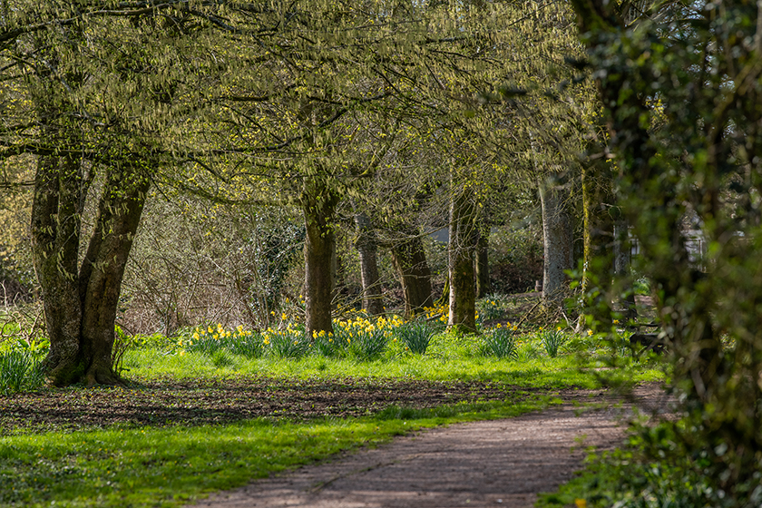 Local park