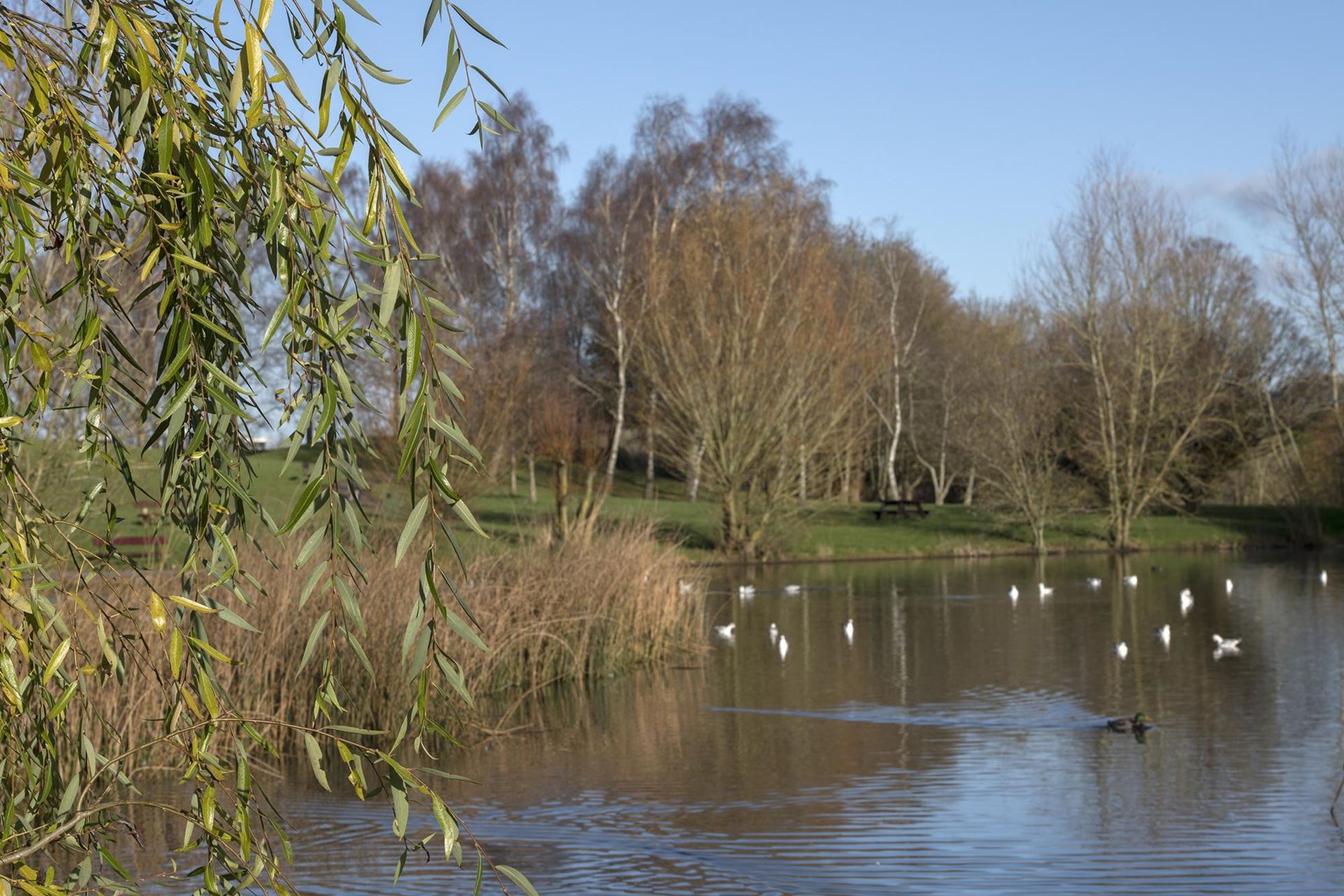 Ladden Garden Village New build homes in Yate Barratt Homes