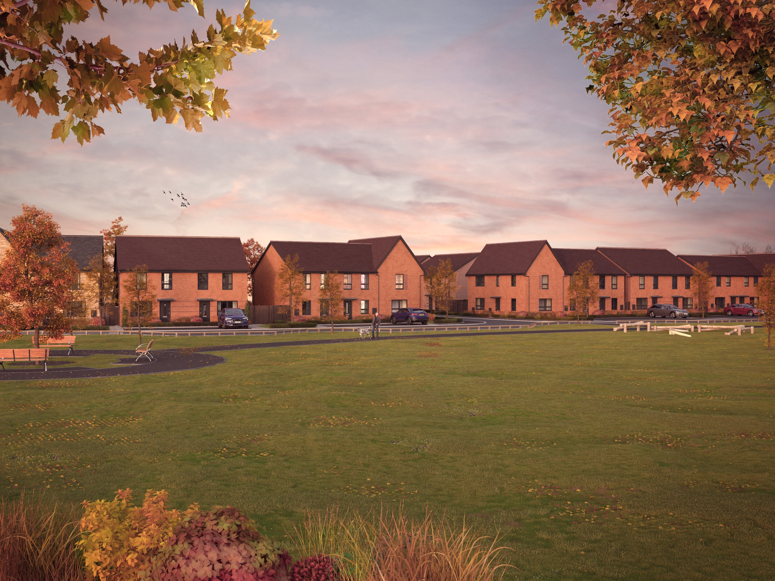 Street scene of Orchards View