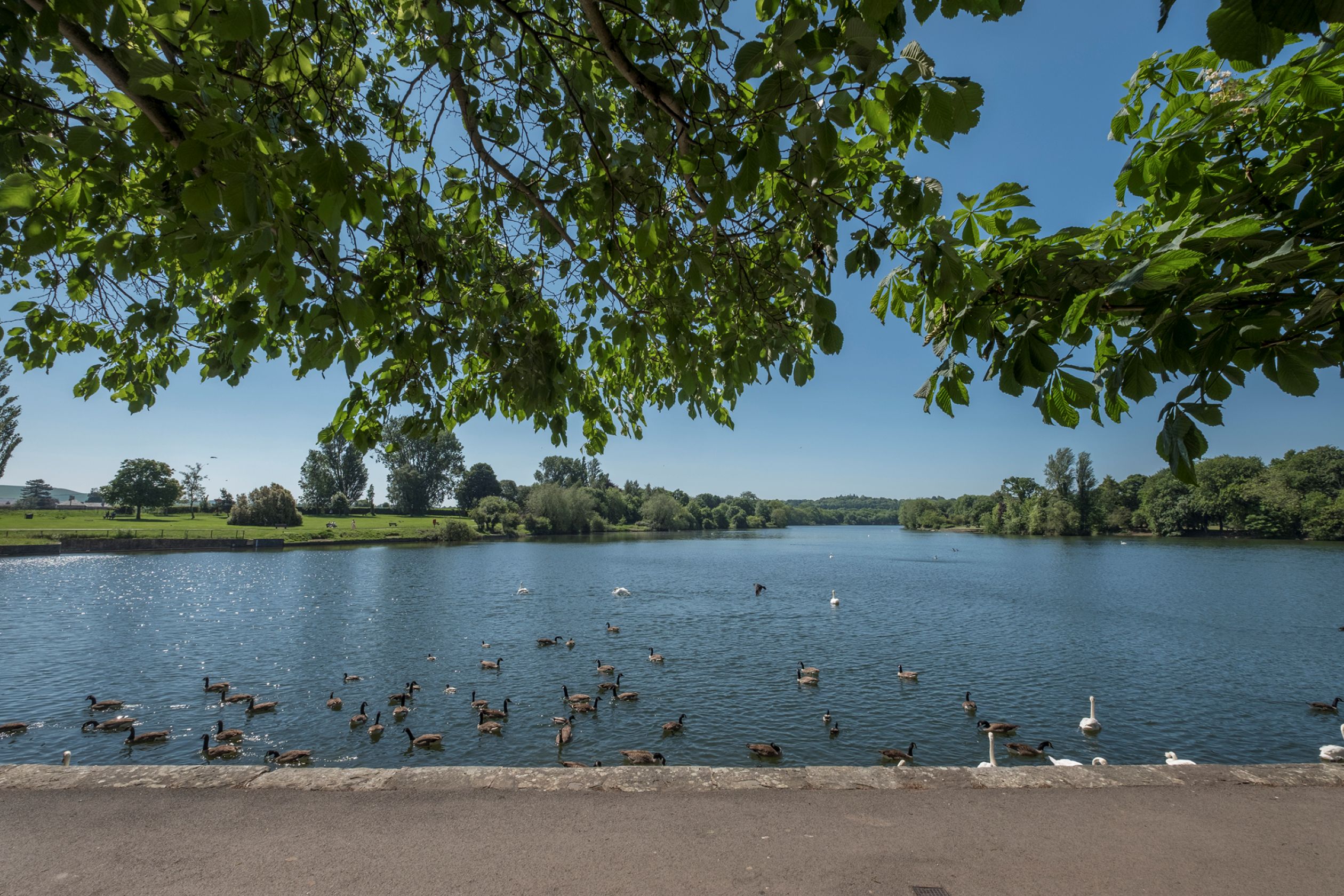 King George Park local area 