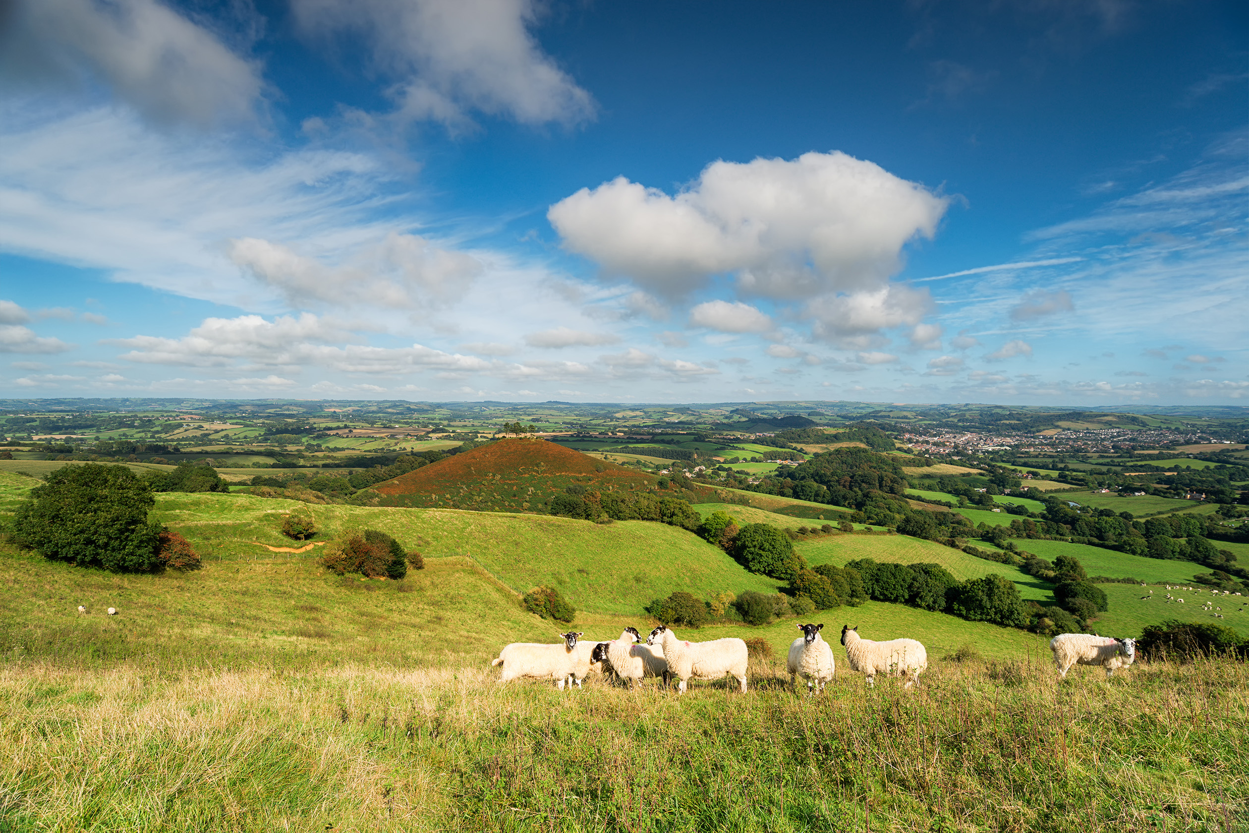 Local area image of Colmers Hill, Bridport
