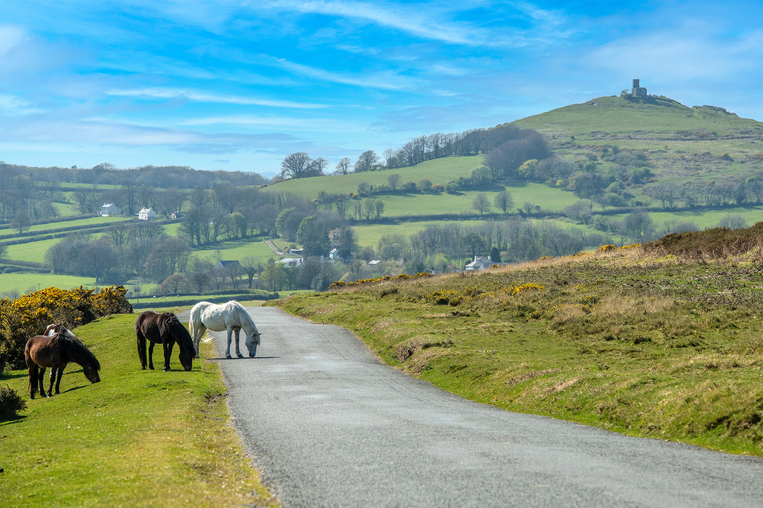 Okement Park New homes in Okehampton, Devon Barratt Homes