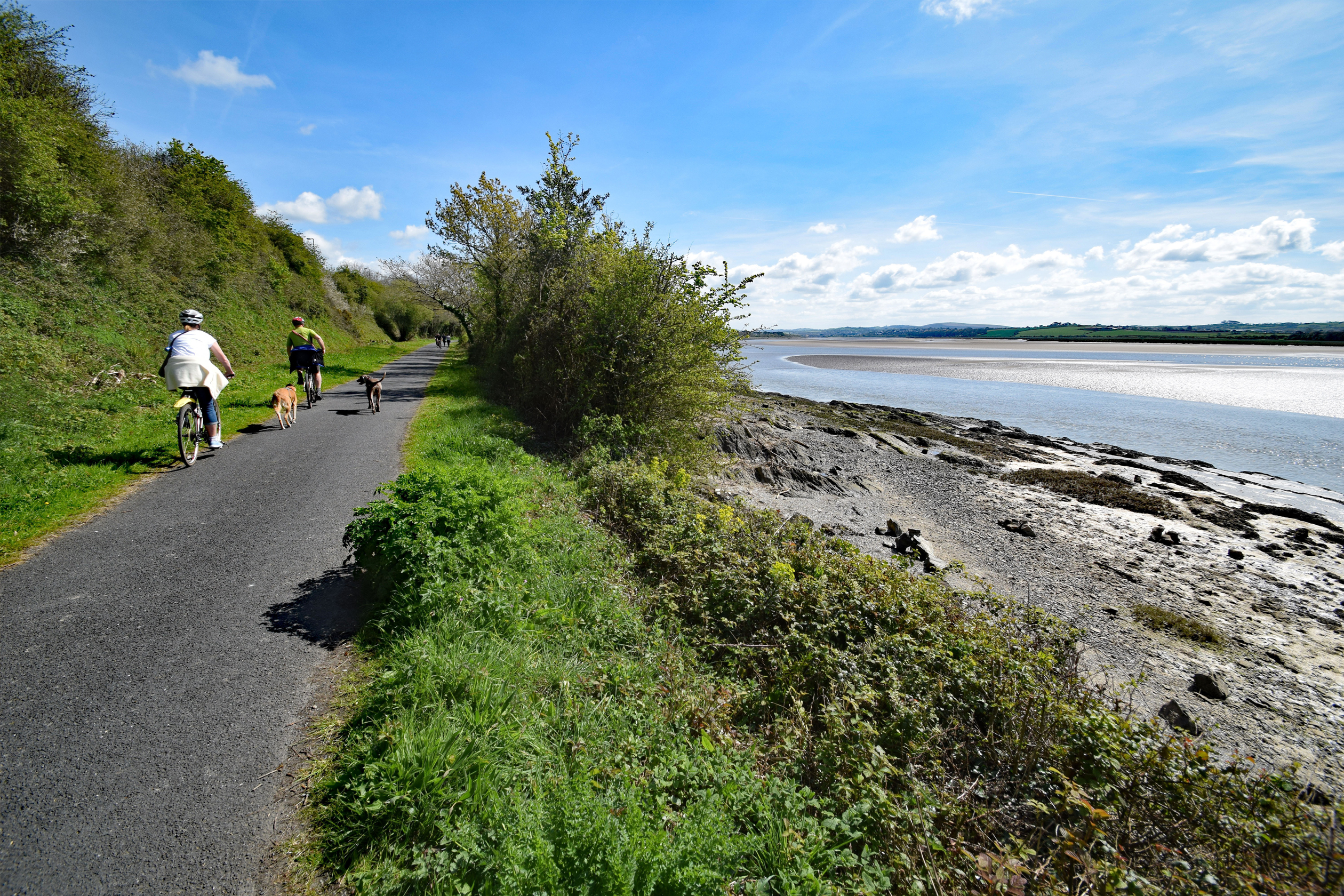 Cyclists along the Tarka Trail, North Devon.