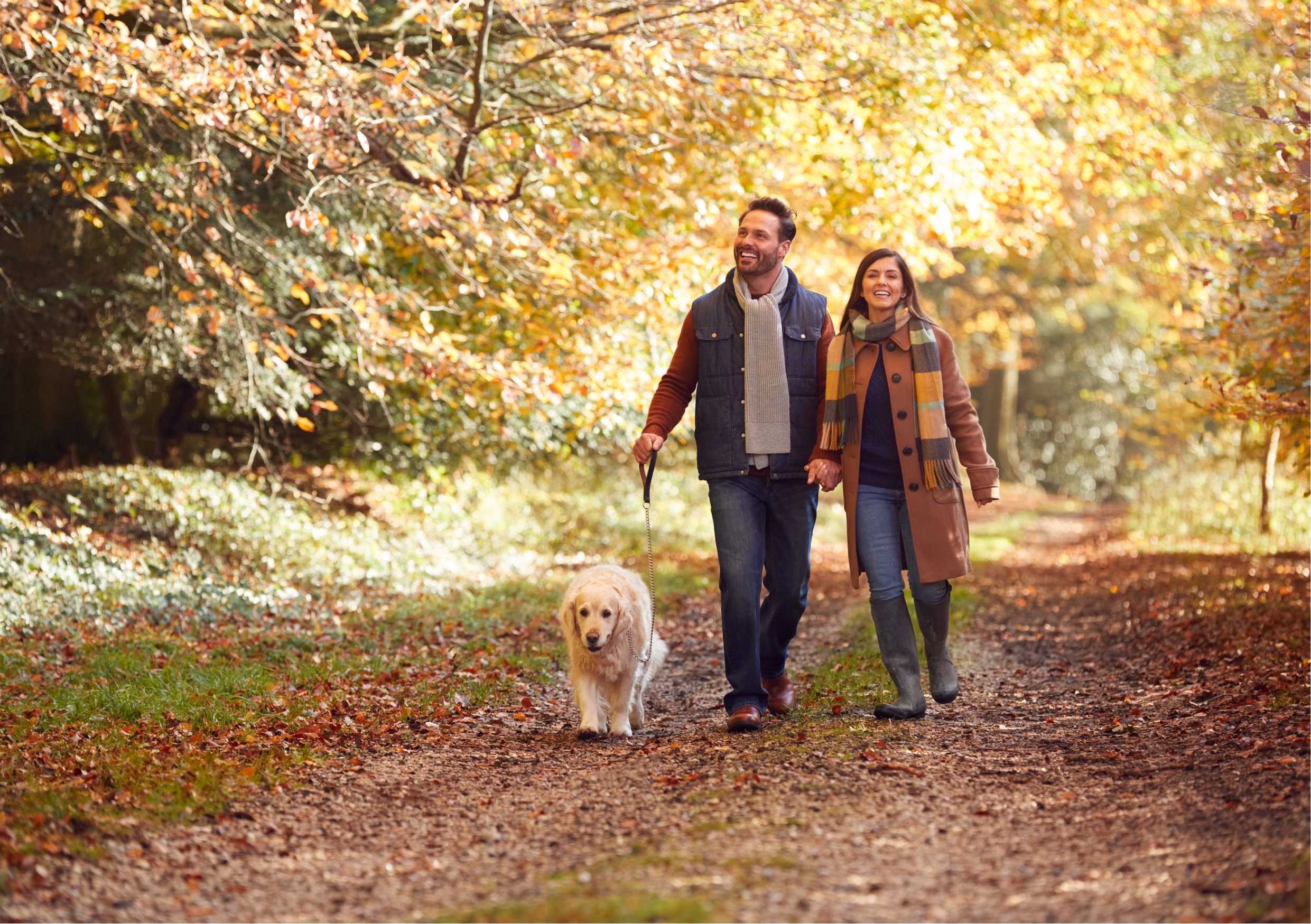 Autumn walk