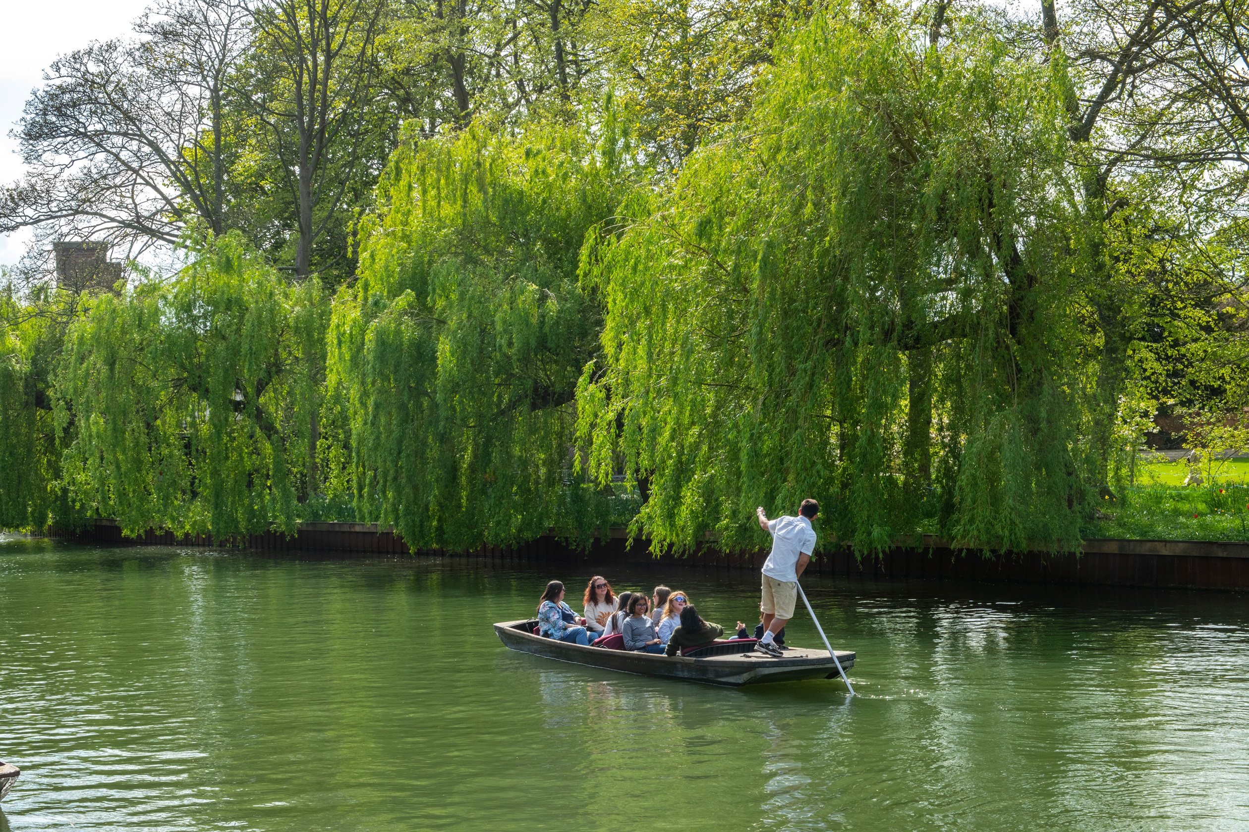 Cambridge Local Area