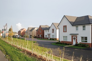 Woodland Heath
