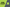 Image alt text