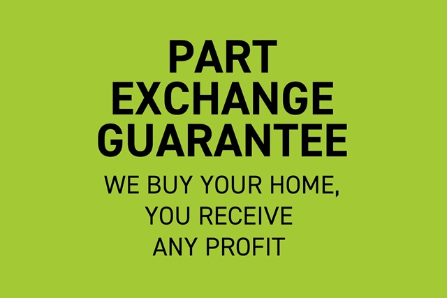 BH PXG web offer box image