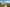 Image alt text