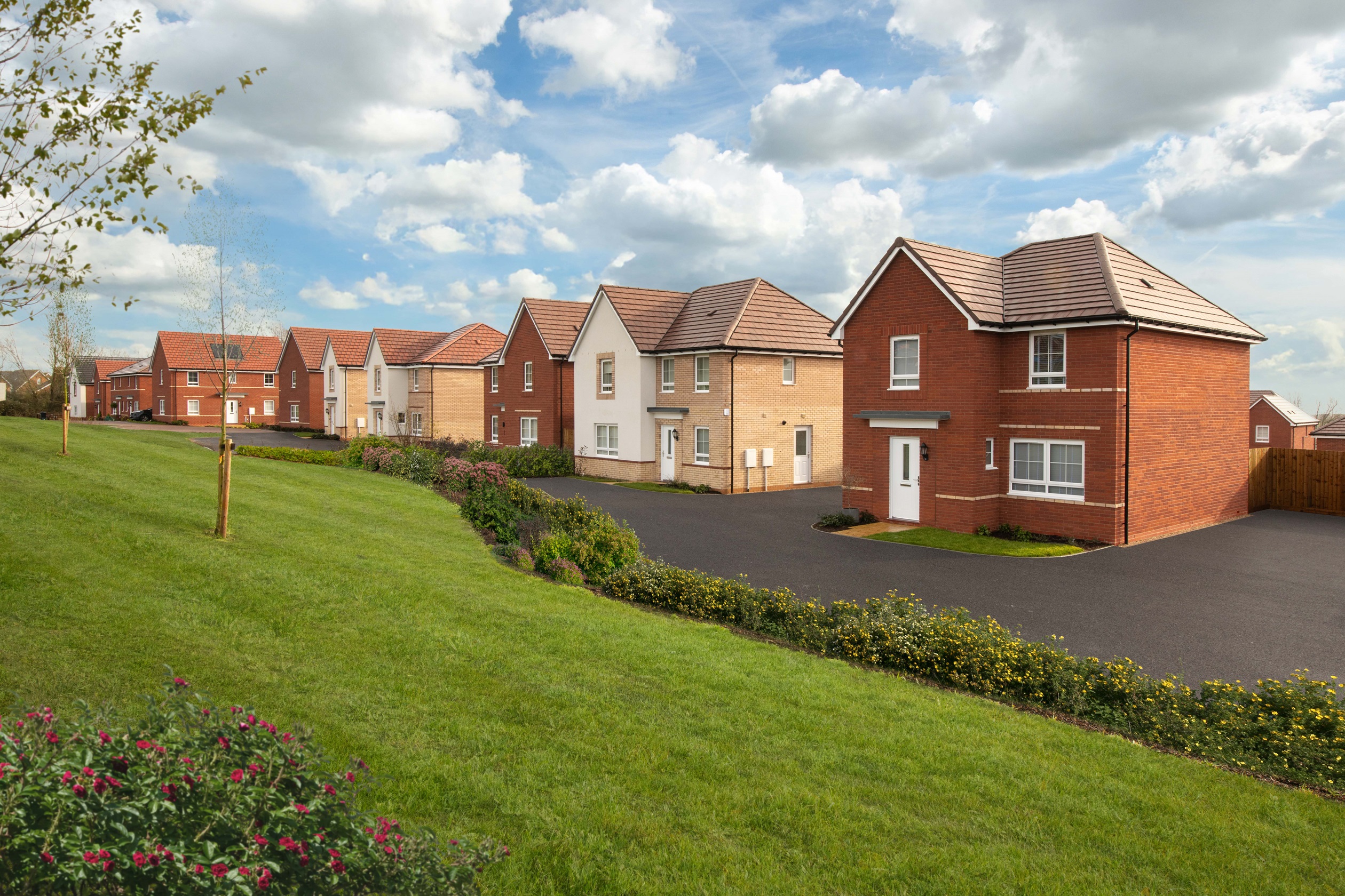 LanguardView_BAR_Kingsley_Radleigh