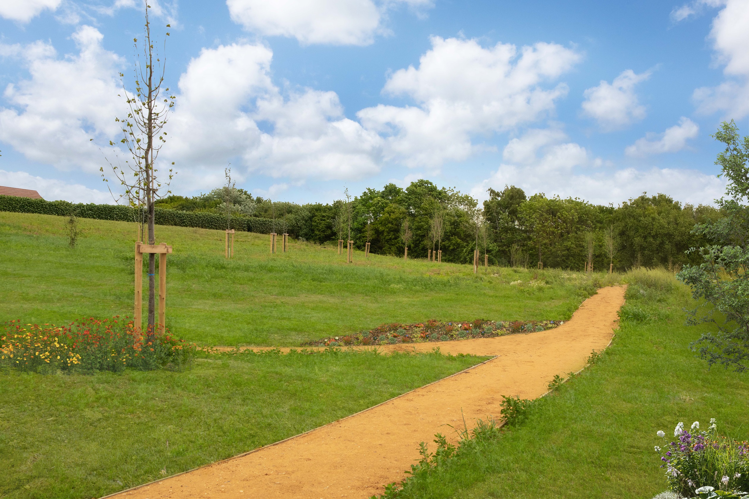 Languard View_BAR_POS