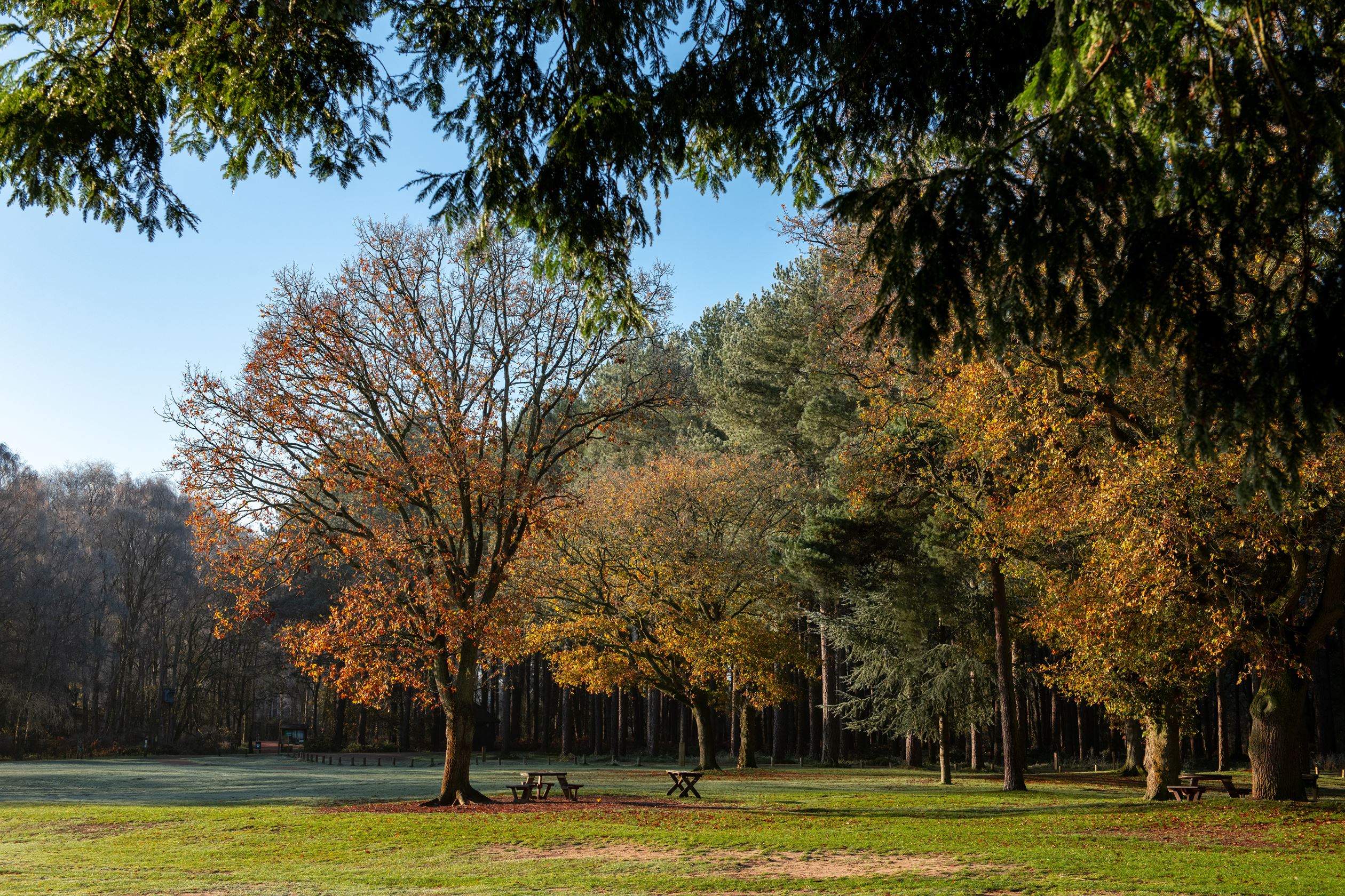 Local area Watton Wayland Fields