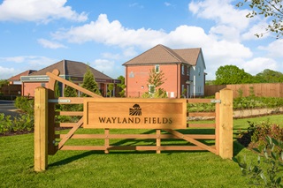 Wayland Fields