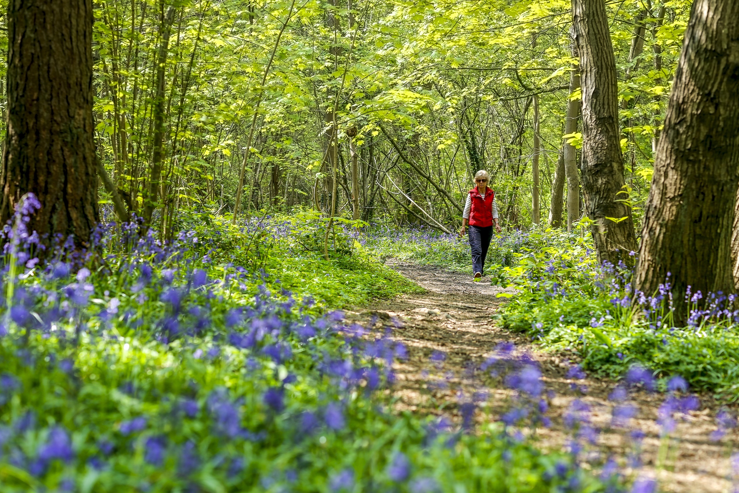 Enjoy green open space