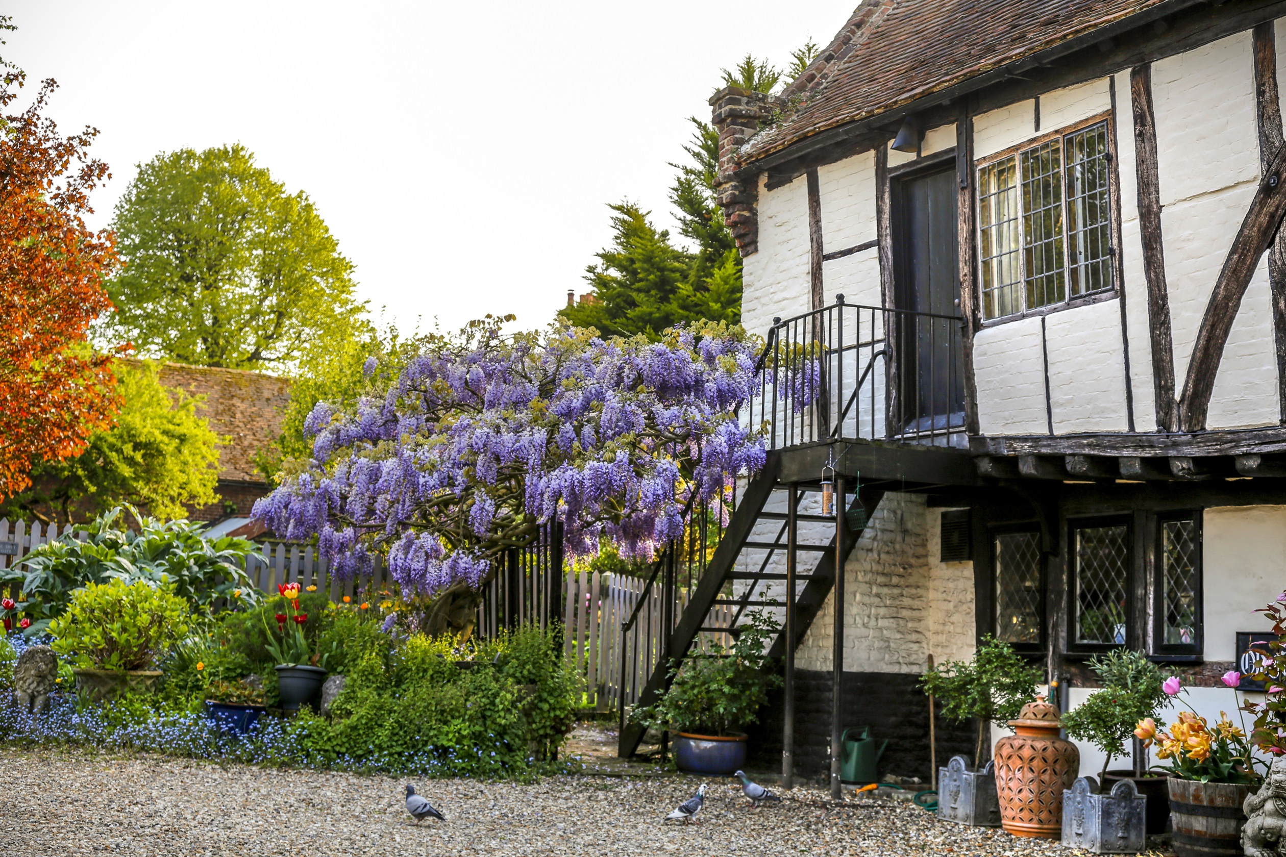 Aylesham quaint houses 