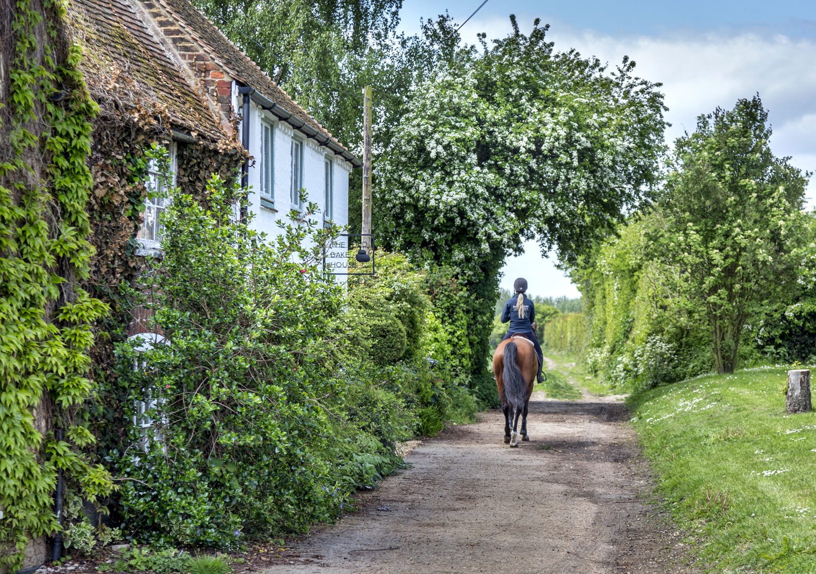 local area to the woodlands Canterbury outdoor trail horse