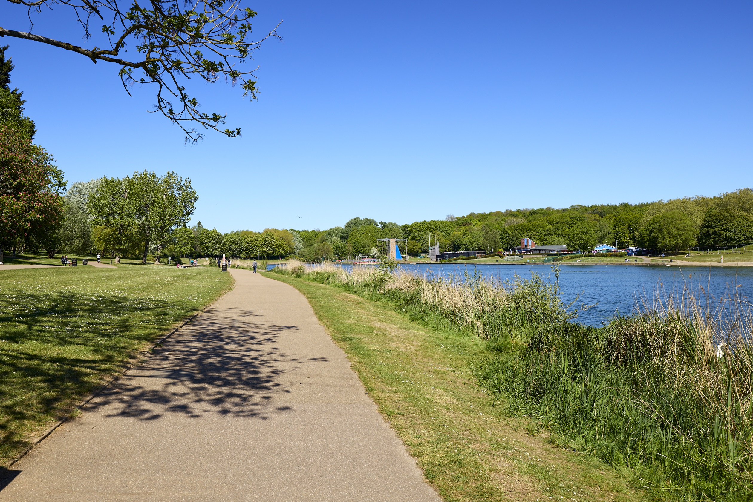 BHNT - hazel Park local area