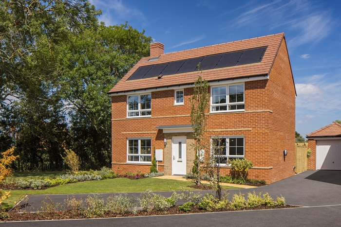 Hawthorn Grove