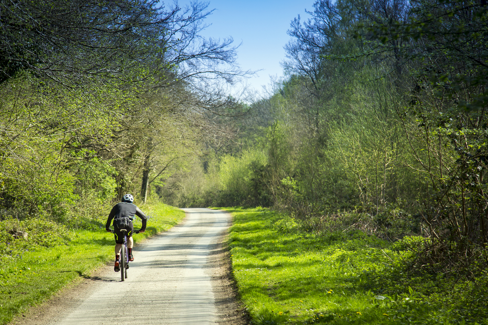 Cyclist in Angmering Park Estate woods
