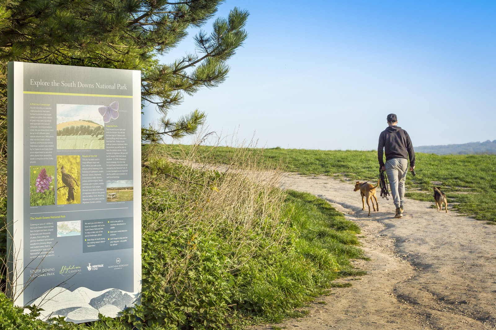 Dogwalker at Highdown Hill