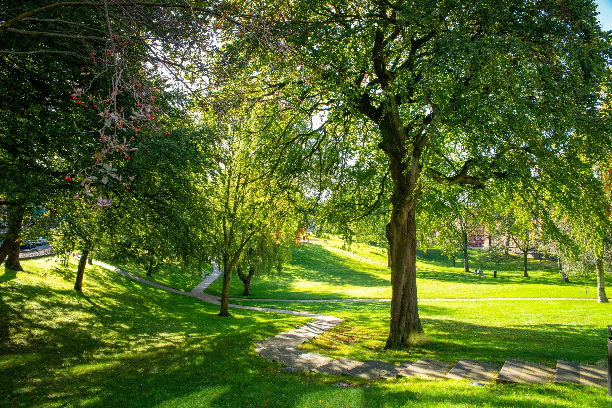 local area Preston park area 