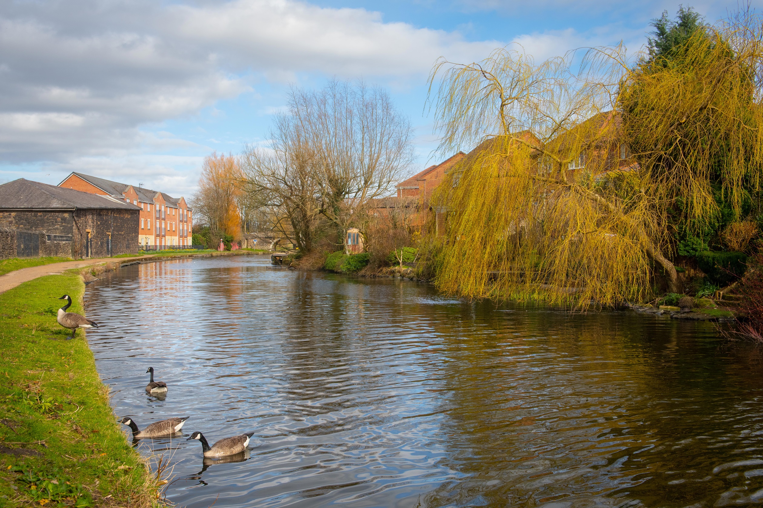 Nook New homes in Blackburn, Lancashire Barratt Homes