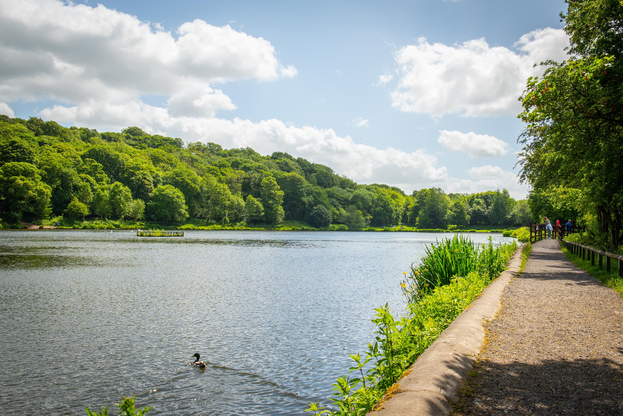 Centurion Green New homes in Leyland, Lancashire Barratt Homes
