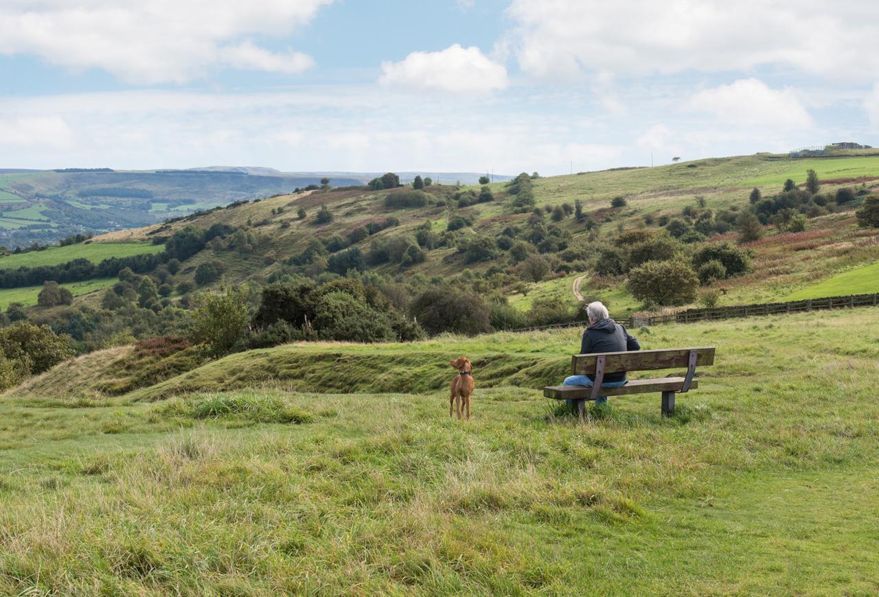 One man and his dog sat on a bench at Werneth Low Country park 