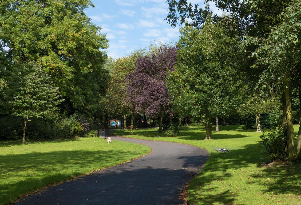 local park scene with path trees and green open space 