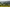 countryside views rolling hills and woodland 