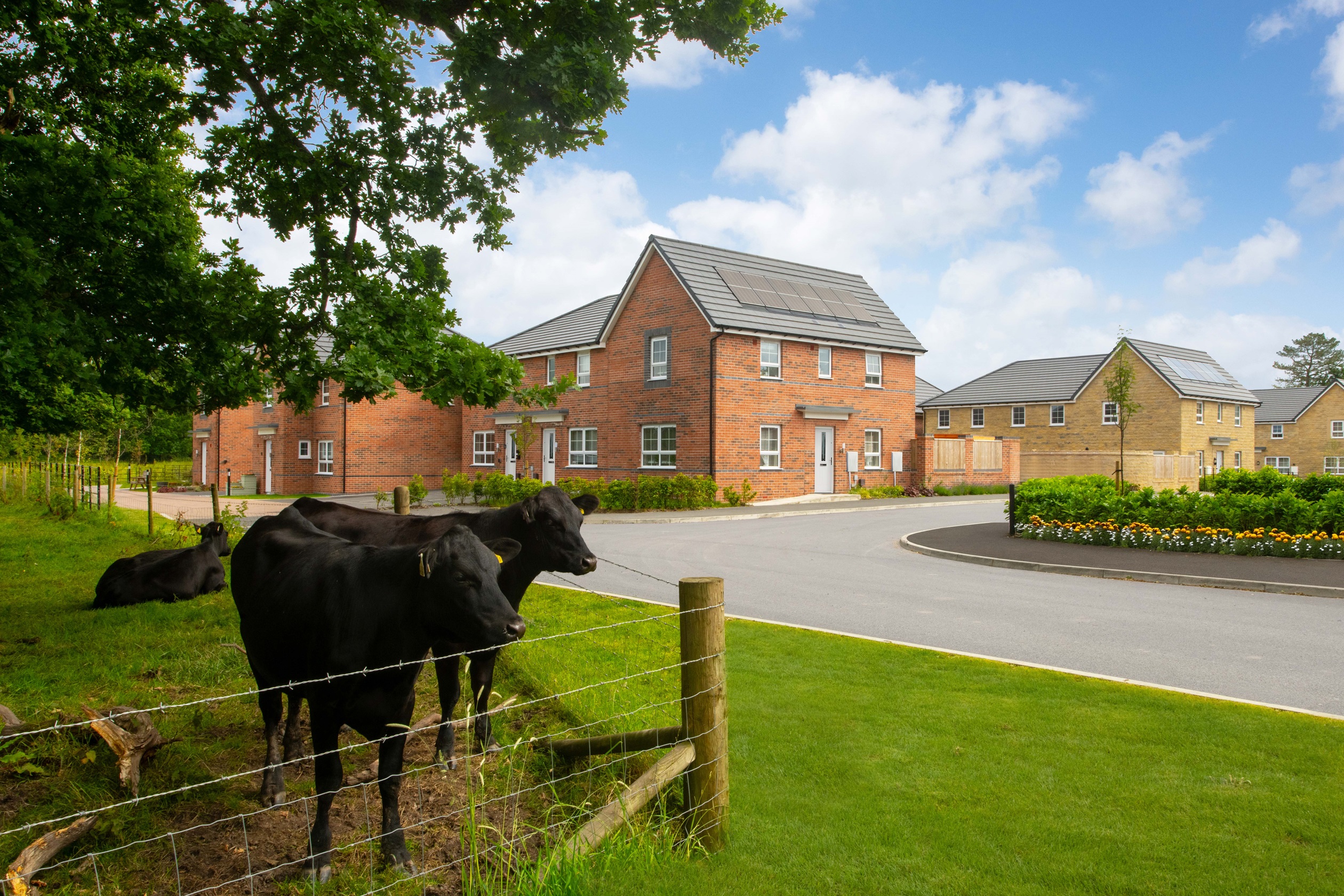 Typical Barratt Homes street scene 