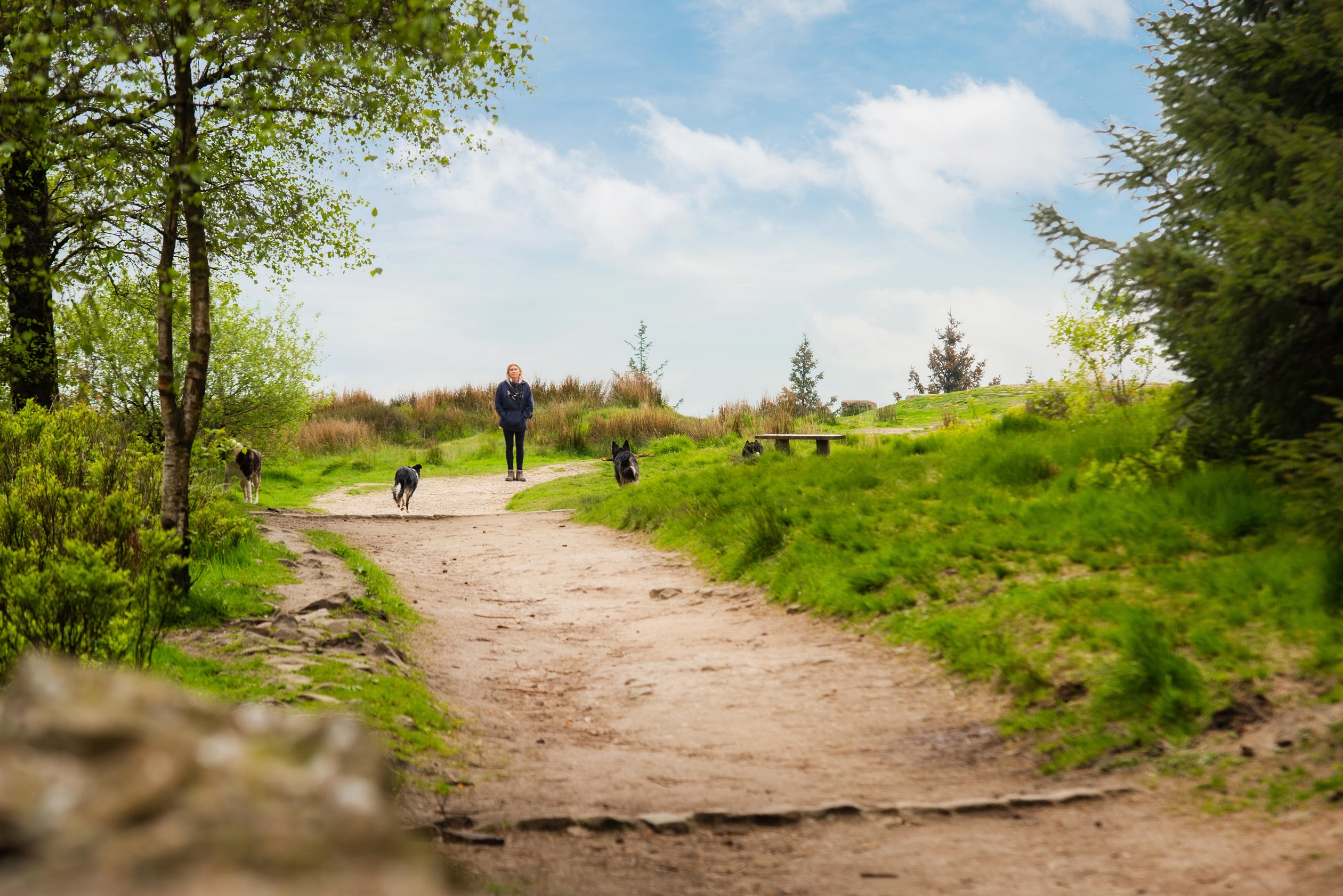 Rogerson Gardens, Whittingham local area