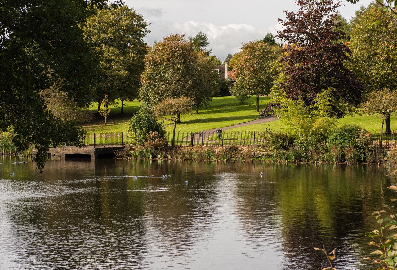 Macclesfield local park showing trees and lake 