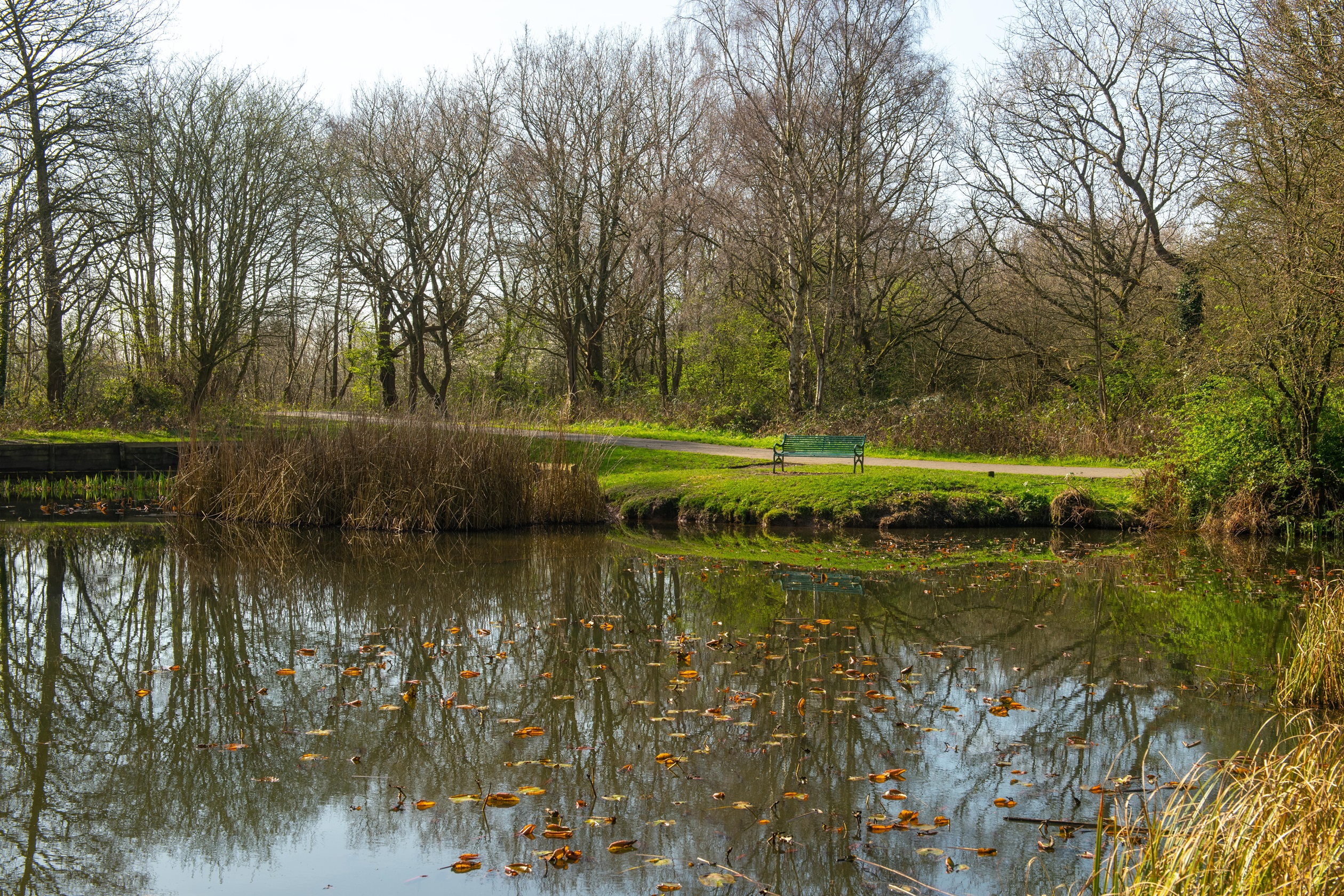 Halewood local area image