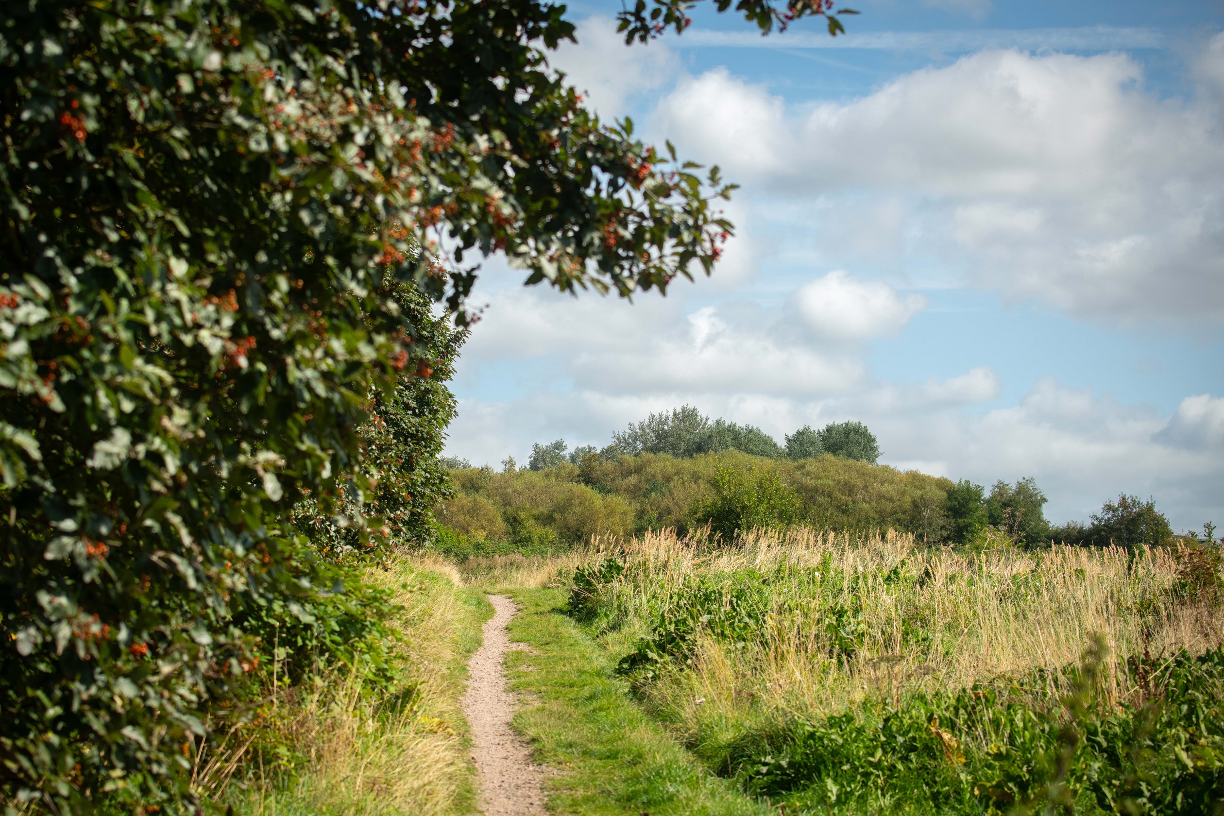 Local area photography 