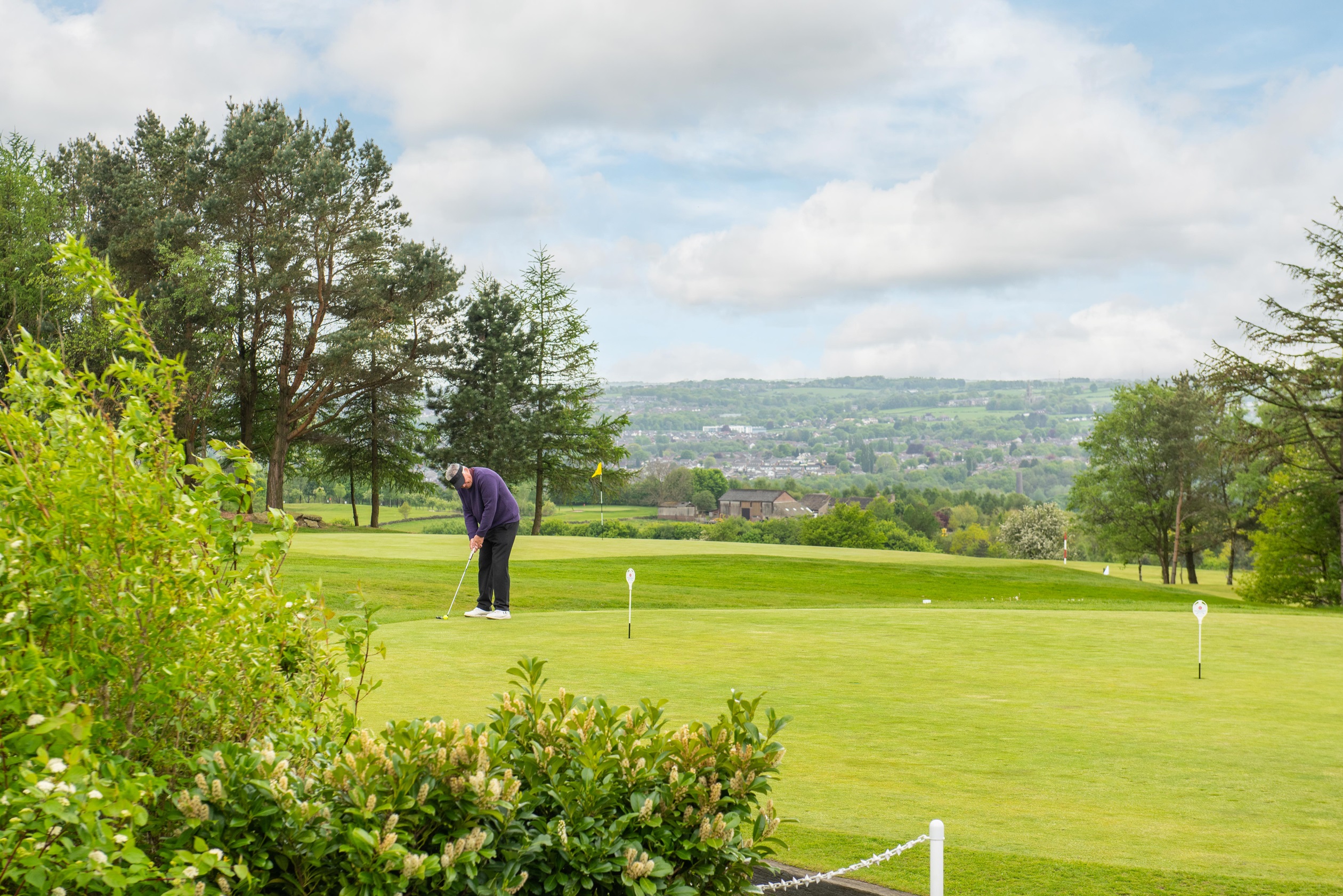 Waldmers wood local area 