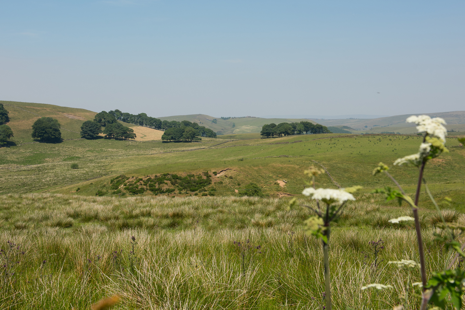 Countryside in Tintwistle