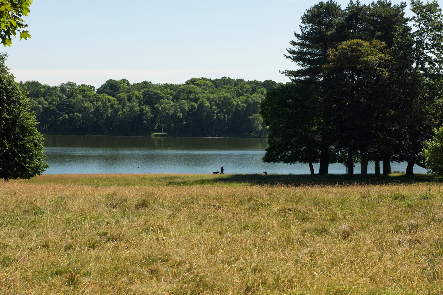 Northwich local area