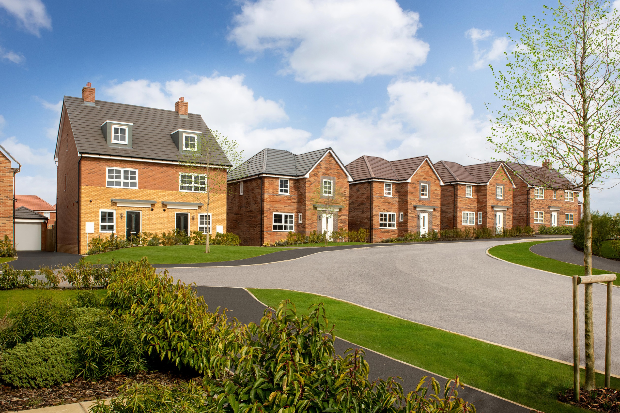 King's Meadow street scene