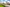 Image alt text