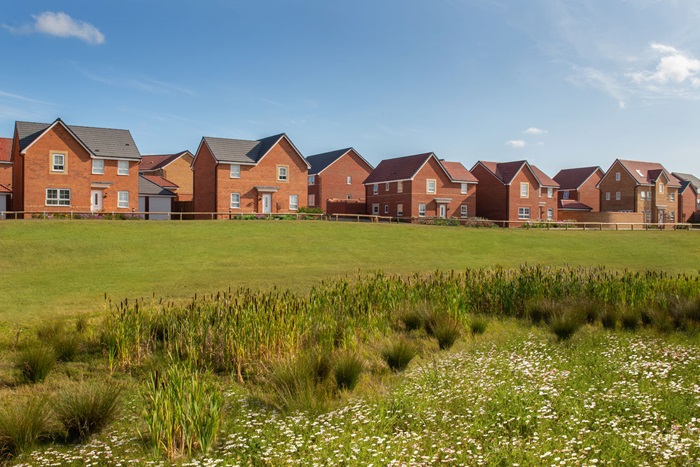 Wigston Meadows