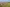 Drone shot