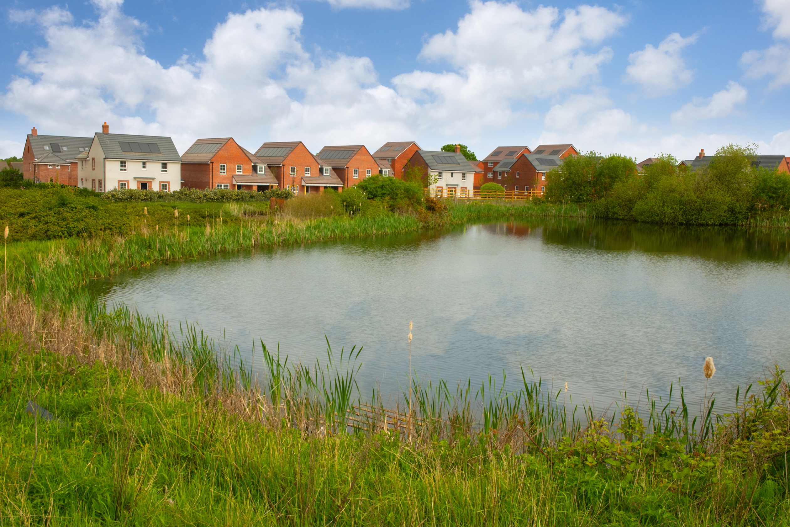 BAR NN Ashlawn Gardens pond