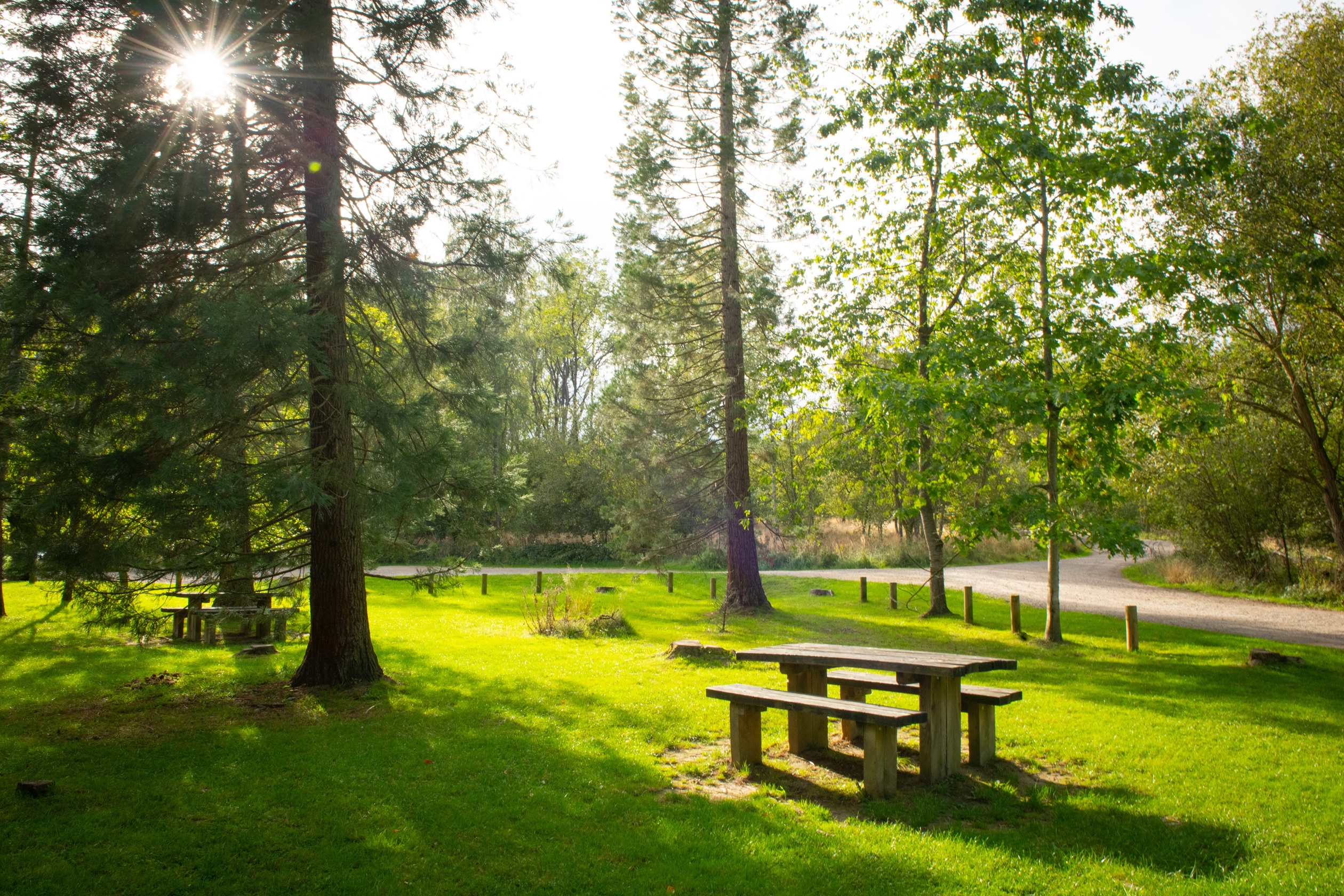 007 BC_Bourne_LocalArea007 BC_Bourne_LocalArea