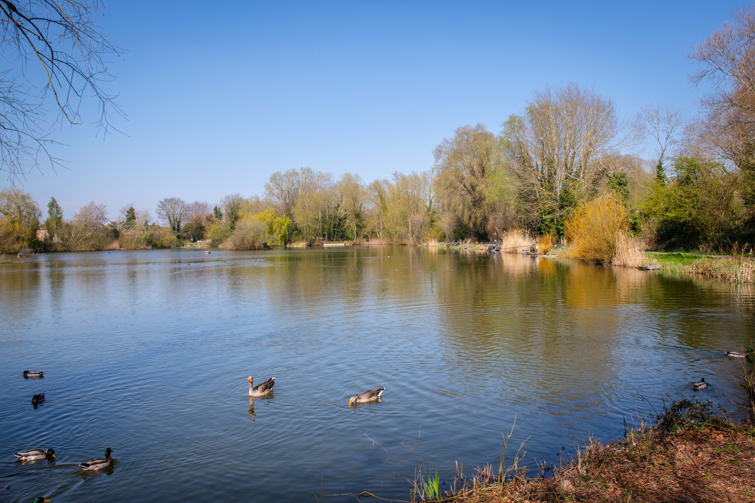 BAR NN Chatteris local area photography