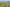 Brooklands_BH_Drone
